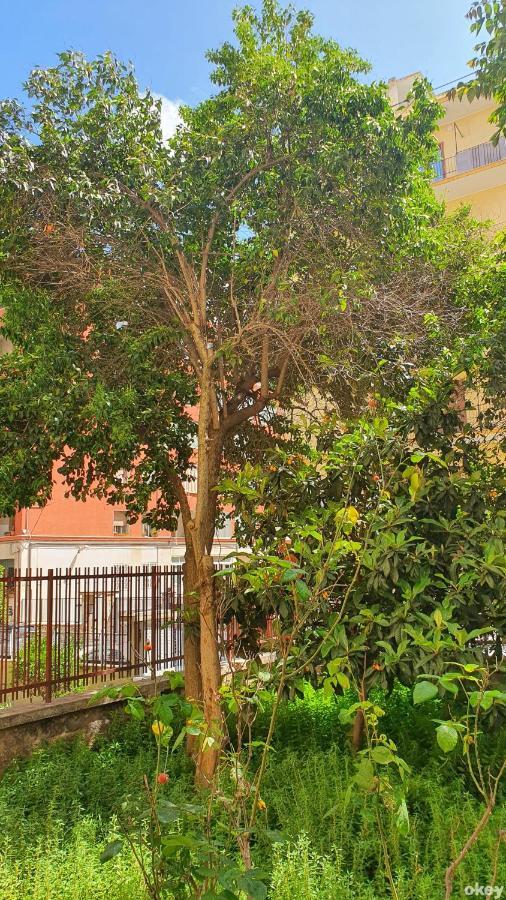 Appartamento Star House - Bari Centro Esterno foto